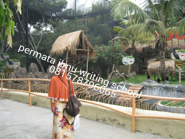 PicsArt_1430138146442