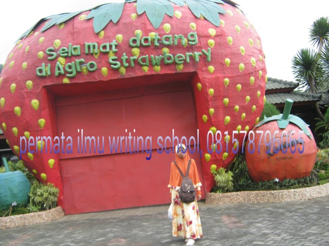 PicsArt_1430285601272