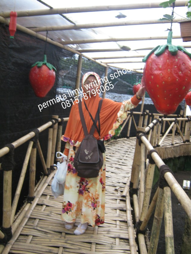 PicsArt_1430311689164