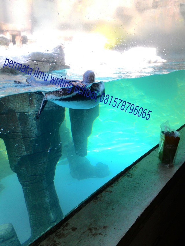 PicsArt_1437660354287