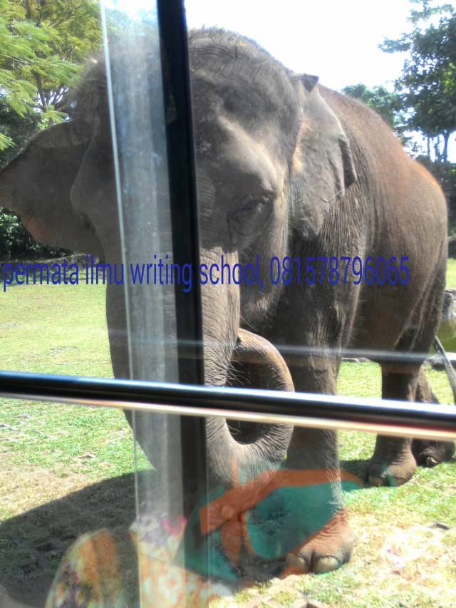 PicsArt_1437660468586