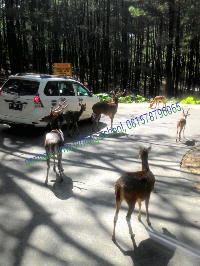 PicsArt_1437824186365