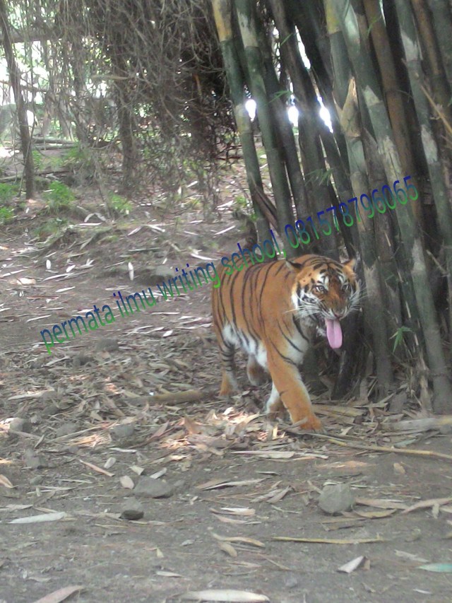 PicsArt_1437824600268