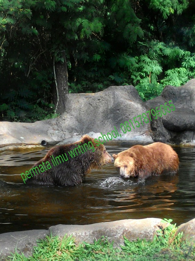 PicsArt_1437825012692