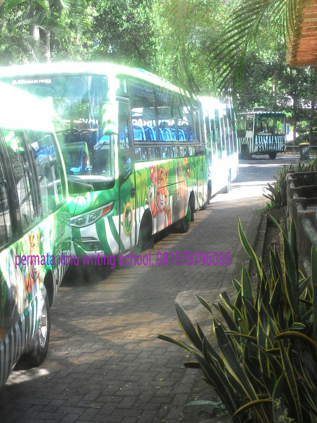 PicsArt_1438061862351