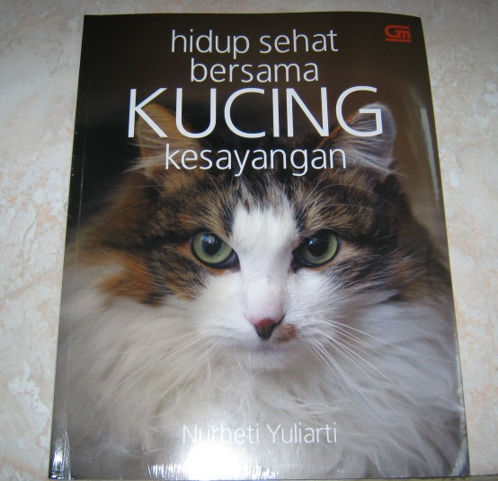 kucing-gramed-1
