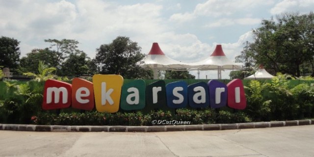 DSC04609-720x360.jpg image