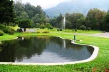 view-kebun-raya-cibodas.jpg image