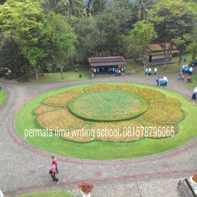 IMG_20160428_054126.jpg image