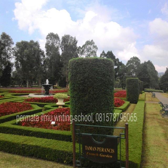 IMG_20160428_054302.jpg image