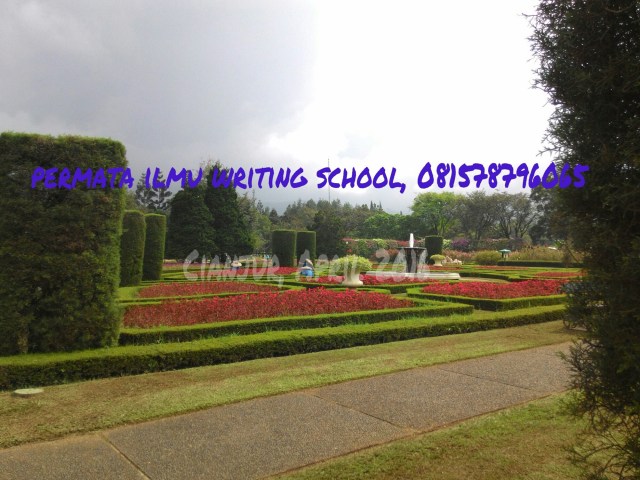 IMG_20160428_055138.jpg image